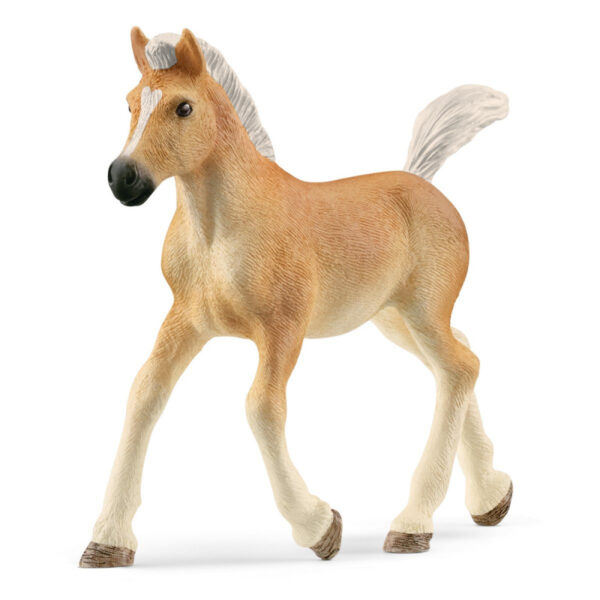 Schleich 13814 Haflinger žriebä,schleich, schleich kone, schleich zvieratká, schleich kone a jazdci, schleich dom, dráčik schleich, kone schleich, schleich kone dracik, schleich kone 2023, schleich zvierata, figúrky schleich, schleich dracik, schleich kone 2022, schleich kone na predaj, schleich kone s jazdcom, bazos schleich, dracik schleich kone, schleich jazdci, schleich 2023, schleich hracky, figúrky schleich kone, schleich stajna pre kone, stajna pre kone schleich, schleich konik, collecta, collecta kone, schleich jazdkyna, schleich kone stajne, schleich stajňa, hracky schleich, schleich frízsky kôň, schleich jazdec, schleich prekážky, schleich tazne kone