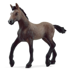 Schleich Žriebä plemena peruánsky paso,schleich, schleich kone, schleich zvieratká, schleich kone a jazdci, schleich dom, dráčik schleich, kone schleich, schleich kone dracik, schleich kone 2023, schleich zvierata, figúrky schleich, schleich dracik, schleich kone 2022, schleich kone na predaj, schleich kone s jazdcom, bazos schleich, dracik schleich kone, schleich jazdci, schleich 2023, schleich hracky, figúrky schleich kone, schleich stajna pre kone, stajna pre kone schleich, schleich konik, collecta, collecta kone, schleich jazdkyna, schleich kone stajne, schleich stajňa, hracky schleich, schleich frízsky kôň, schleich jazdec, schleich prekážky, schleich tazne kone