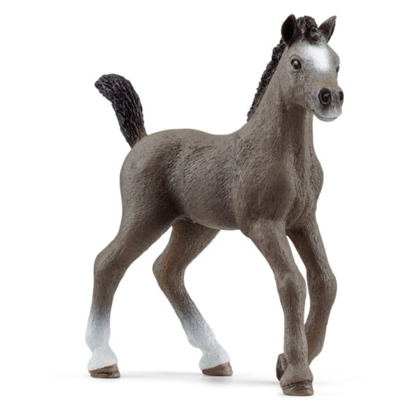 Schleich Žriebä plemena Selle Français,schleich, schleich kone, schleich zvieratká, schleich kone a jazdci, schleich dom, dráčik schleich, kone schleich, schleich kone dracik, schleich kone 2023, schleich zvierata, figúrky schleich, schleich dracik, schleich kone 2022, schleich kone na predaj, schleich kone s jazdcom, bazos schleich, dracik schleich kone, schleich jazdci, schleich 2023, schleich hracky, figúrky schleich kone, schleich stajna pre kone, stajna pre kone schleich, schleich konik, collecta, collecta kone, schleich jazdkyna, schleich kone stajne, schleich stajňa, hracky schleich, schleich frízsky kôň, schleich jazdec, schleich prekážky, schleich tazne kone