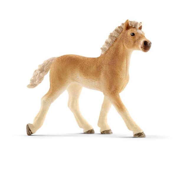 Schleich 13814 Haflinger žriebä,schleich, schleich kone, schleich zvieratká, schleich kone a jazdci, schleich dom, dráčik schleich, kone schleich, schleich kone dracik, schleich kone 2023, schleich zvierata, figúrky schleich, schleich dracik, schleich kone 2022, schleich kone na predaj, schleich kone s jazdcom, bazos schleich, dracik schleich kone, schleich jazdci, schleich 2023, schleich hracky, figúrky schleich kone, schleich stajna pre kone, stajna pre kone schleich, schleich konik, collecta, collecta kone, schleich jazdkyna, schleich kone stajne, schleich stajňa, hracky schleich, schleich frízsky kôň, schleich jazdec, schleich prekážky, schleich tazne kone