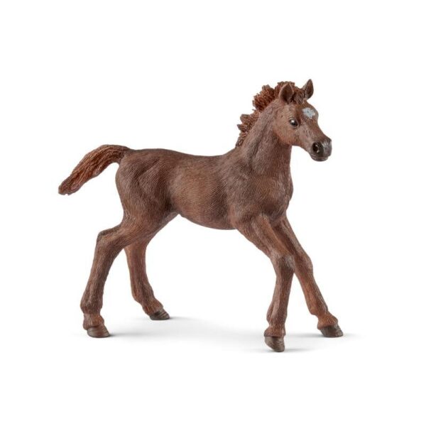 Schleich 13857 kôň Anglický plnokrník žriebä,schleich, schleich kone, schleich zvieratká, schleich kone a jazdci, schleich dom, dráčik schleich, kone schleich, schleich kone dracik, schleich kone 2023, schleich zvierata, figúrky schleich, schleich dracik, schleich kone 2022, schleich kone na predaj, schleich kone s jazdcom, bazos schleich, dracik schleich kone, schleich jazdci, schleich 2023, schleich hracky, figúrky schleich kone, schleich stajna pre kone, stajna pre kone schleich, schleich konik, collecta, collecta kone, schleich jazdkyna, schleich kone stajne, schleich stajňa, hracky schleich, schleich frízsky kôň, schleich jazdec, schleich prekážky, schleich tazne kone