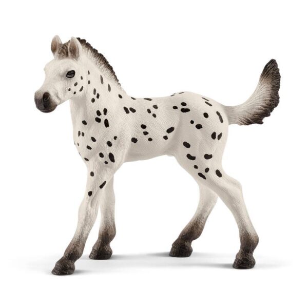 Schleich 13890 kôň Knabstrupper žriebä,schleich, schleich kone, schleich zvieratká, schleich kone a jazdci, schleich dom, dráčik schleich, kone schleich, schleich kone dracik, schleich kone 2023, schleich zvierata, figúrky schleich, schleich dracik, schleich kone 2022, schleich kone na predaj, schleich kone s jazdcom, bazos schleich, dracik schleich kone, schleich jazdci, schleich 2023, schleich hracky, figúrky schleich kone, schleich stajna pre kone, stajna pre kone schleich, schleich konik, collecta, collecta kone, schleich jazdkyna, schleich kone stajne, schleich stajňa, hracky schleich, schleich frízsky kôň, schleich jazdec, schleich prekážky, schleich tazne kone