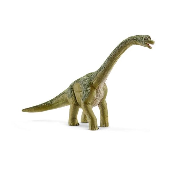 Schleich 14581 prehistorické zvieratko dinosaura Brachiosaurus, dinosaury, brontosaurus, stegosaurus, stegosaury, dinosaury druhy, druhy dinosaurov, raptor dinosaurus, názvy dinosaurov, najznámejšie druhy dinosaurov, dinosaury druhy obrazky, dinosaury typy, mená dinosaurov, dinosaurus s dlhym krkom, najznámejšie dinosaury, mäsožravé dinosaury druhy, zoznam dinosaurov, obrazky dinosaurov, dinosaurus bylinožravec, dinosaury figurky, figurky dinosaurov, maly dinosaurus, skameneliny dinosaurov, vykopavky dinosaurov, dinosaurus figurka