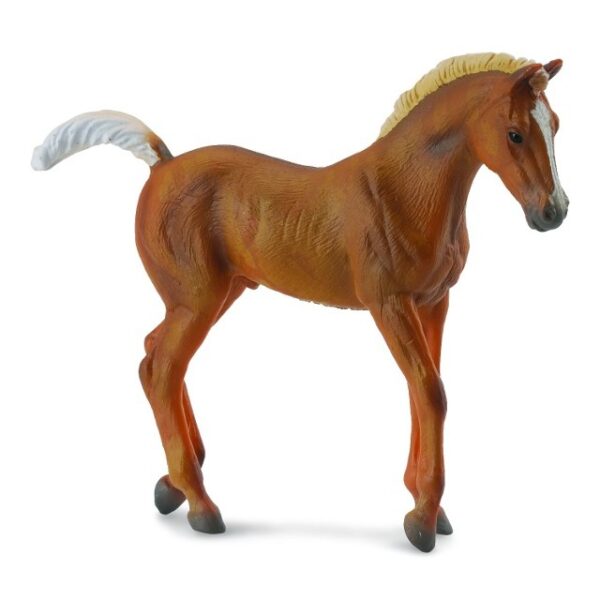 Tennesse jazdecký kôň žriebä gaštanové,schleich, schleich kone, schleich zvieratká, schleich kone a jazdci, schleich dom, dráčik schleich, kone schleich, schleich kone dracik, schleich kone 2023, schleich zvierata, figúrky schleich, schleich dracik, schleich kone 2022, schleich kone na predaj, schleich kone s jazdcom, bazos schleich, dracik schleich kone, schleich jazdci, schleich 2023, schleich hracky, figúrky schleich kone, schleich stajna pre kone, stajna pre kone schleich, schleich konik, collecta, collecta kone, schleich jazdkyna, schleich kone stajne, schleich stajňa, hracky schleich, schleich frízsky kôň, schleich jazdec, schleich prekážky, schleich tazne kone