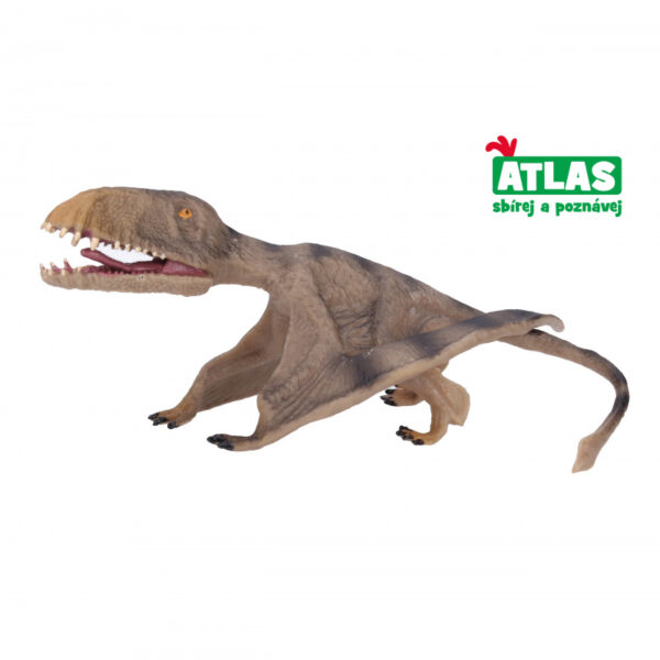 Atlas B Pterosaurus 17,2 cm, dinosaury, brontosaurus, stegosaurus, stegosaury, dinosaury druhy, druhy dinosaurov, raptor dinosaurus, názvy dinosaurov, najznámejšie druhy dinosaurov, dinosaury druhy obrazky, dinosaury typy, mená dinosaurov, dinosaurus s dlhym krkom, najznámejšie dinosaury, mäsožravé dinosaury druhy, zoznam dinosaurov, obrazky dinosaurov, dinosaurus bylinožravec, dinosaury figurky, figurky dinosaurov, maly dinosaurus, skameneliny dinosaurov, vykopavky dinosaurov, dinosaurus figurka