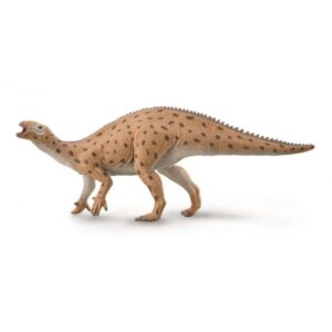 Collecta Fukuisaurus, dinosaury, brontosaurus, stegosaurus, stegosaury, dinosaury druhy, druhy dinosaurov, raptor dinosaurus, názvy dinosaurov, najznámejšie druhy dinosaurov, dinosaury druhy obrazky, dinosaury typy, mená dinosaurov, dinosaurus s dlhym krkom, najznámejšie dinosaury, mäsožravé dinosaury druhy, zoznam dinosaurov, obrazky dinosaurov, dinosaurus bylinožravec, dinosaury figurky, figurky dinosaurov, maly dinosaurus, skameneliny dinosaurov, vykopavky dinosaurov, dinosaurus figurka