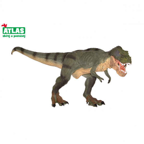 Atlas G Dino Tyrannosaurus Rex 31cm, dinosaury, brontosaurus, stegosaurus, stegosaury, dinosaury druhy, druhy dinosaurov, raptor dinosaurus, názvy dinosaurov, najznámejšie druhy dinosaurov, dinosaury druhy obrazky, dinosaury typy, mená dinosaurov, dinosaurus s dlhym krkom, najznámejšie dinosaury, mäsožravé dinosaury druhy, zoznam dinosaurov, obrazky dinosaurov, dinosaurus bylinožravec, dinosaury figurky, figurky dinosaurov, maly dinosaurus, skameneliny dinosaurov, vykopavky dinosaurov, dinosaurus figurka